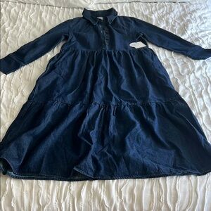 Lea Long Sleeve Denim Dress